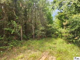 40 acres Ellison Rd, Strong, AR 71765