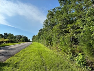 6200 Jackson Rd, Waverly, AL 36879