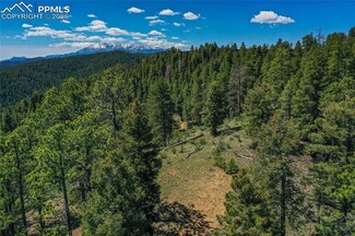 29545 N Highway 67, Woodland Park, CO 80863