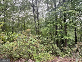 Lots 16, 17, 18 Halterman Dr, Capon Bridge, WV 26711