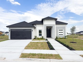 3908 Red Lantana St, Mission, TX 78574