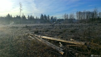 0 Us Hwy 12 Unit 1225356, Ethel, WA 98542