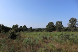 TBD Brookgrove Trail, Camp, AR 72576