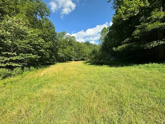 363 Angel's Run Dr, Big Springs, WV 26137
