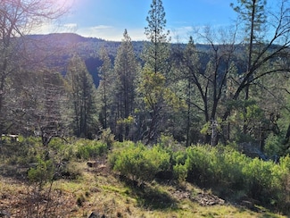 20100 Grizzly Creek Rd, Nevada City, CA 95959