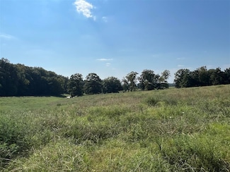 19.16 Acres Newman Rd, Scottsville, KY 42164