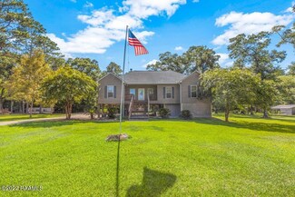 141 Ben Monic Dr, Evangeline, LA 70537