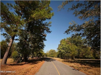 483 Barskdale Rd, Brandon, MS 39047