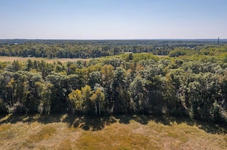 Tract C TBD Little Pine Rd, Sylvan Township, MN 56401