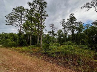 12299 Ipswich Sparrow Rd, Weeki Wachee, FL 34614