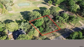TBD LOT 382 Greenbriar, Holly Lake Ranch, TX 75765