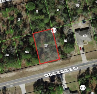 3285 W Citrus Springs Blvd, Dunnellon, FL 34433