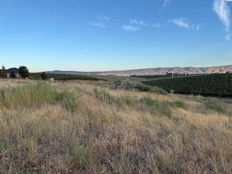 TBD McCreadie Rd, Prosser, WA 99350
