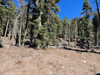 0000 Logging Rd, Viola, CA 96088