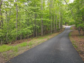 Lot F-1 Bruce Mountain Rd, Morganton, GA 30560