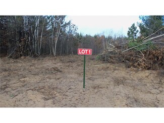 Lot 1 Pinewood Trail, Webster, WI 54893