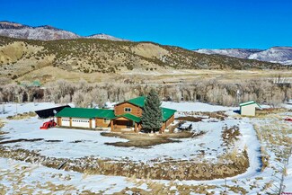 83222 Springs Ln, Cimarron, CO 81220