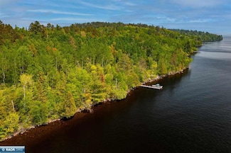 TBD Parcel "A" Pine Island, Tower, MN 55790