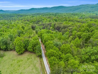 000 Henry Ruff Rd Unit Lot 2, Mill Spring, NC 28756
