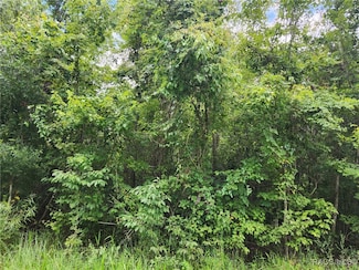 2061 E Colony Ln, Inverness, FL 34453