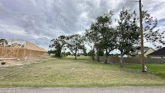 410 Texas Ave, Rosharon, TX 77583