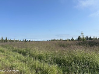 35826 Agriculture St, Kenai, AK 99611
