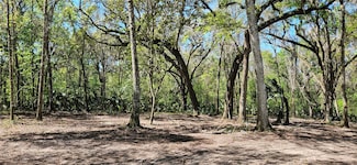 84ac NW 193rd St, Micanopy, FL 32667