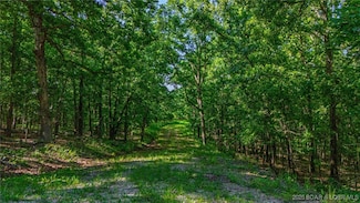 Lot 1169,1143 Elliott Place, Edwards, MO 65329