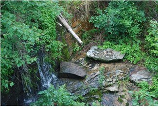 116 County Road 325, Flat Rock, AL 35966