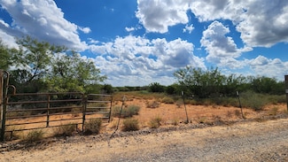 PT OF TRACT 29 La Moca Ranch, Laredo, TX 78045