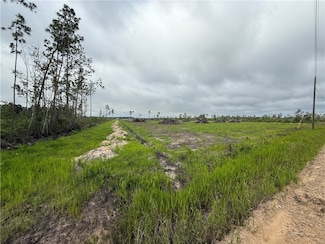 (9.219 Ac) Rhine (Alma Ga) Rd, Alma, GA 31510