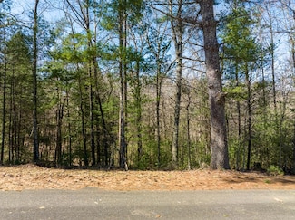 Lot 164 Shenendoa Dr, Ellijay, GA 30540
