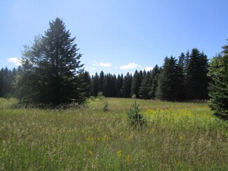 3709 Pleasantview Rd, Pellston, MI 49769