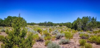 74 acres Near Witchwells, St. Johns, AZ 85936