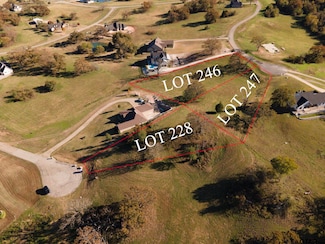 lot 246R & 228 Overlook Pt & Wildlife Way, Athens, TX 75752