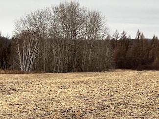 000 Wildwood Rd, Brook Park, MN 55007