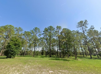 24135 Greenwood Crossing, Eustis, FL 32736