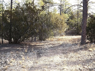 3341 Sawmill Ridge Loop, Heber-Overgaard, AZ 85928
