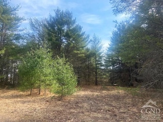 0 Cangiano Dr, Lexington, NY 12468