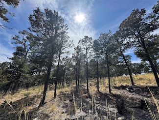 Lot 25 Lot 25, Pecos, NM 87552