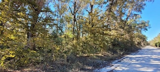 00 NE 230th Ave, Old Town, FL 32680