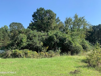 244 Bitmore Rd, Whiteville, NC 28472