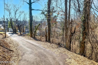 311 Bedford Ave, Knoxville, TN 37914