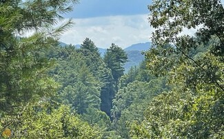 LOT 71 Fires Creek Cove, Hayesville, NC 28904