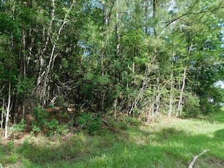 9230 Bear Creek Dr Unit HWY 421, Kountze, TX 77625