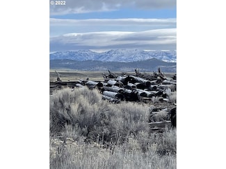 0 Strawberry Ln Unit 22643527, Seneca, OR 97873