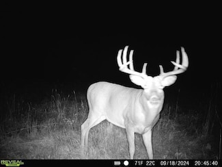 79.61 acres 83rd Ave SW, Poplar Township, MN 56481