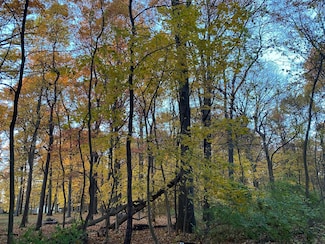 0 Oak Dr, Fabius Township, MI 49093