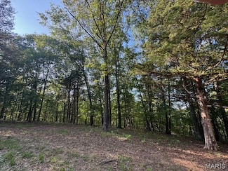 110 Steeple Point Dr Lot # 14 Dr, Defiance, MO 63341