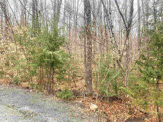 11 Hickory Overlook, Enfield, NH 03748